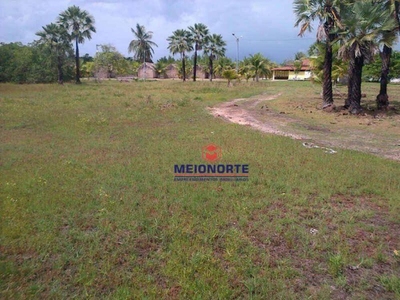 Casa, 5 quartos, 1000 m² - Foto 5