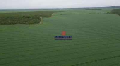 Fazenda-Sítio-Chácara, 1000 hectares - Foto 2