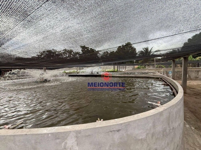 Fazenda, 2600 m² - Foto 3