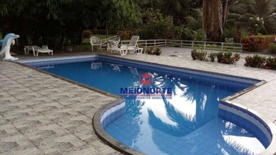 Sítio, 3 hectares - Foto 3