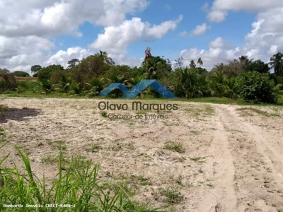 Fazenda-Sítio-Chácara, 275000 hectares - Foto 4