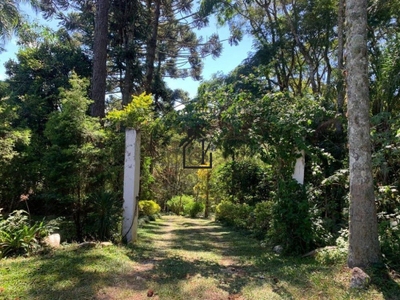 Sítio, 3 quartos, 3 hectares - Foto 4