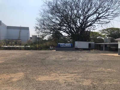 Depósito-Galpão - Foto 1