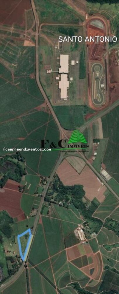 Sítio, 4 hectares - Foto 2