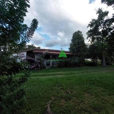 Sítio, 2 quartos, 2 hectares - Foto 4