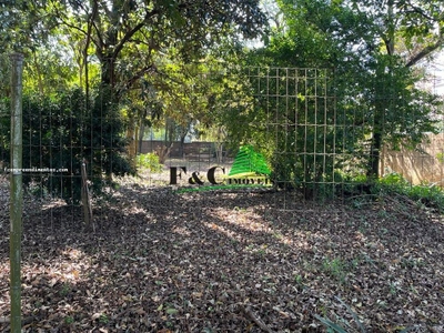 Terreno, 2500 m² - Foto 3