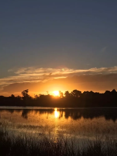 Terreno, 4000 m² - Foto 1