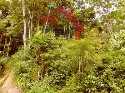 Fazenda-Sítio-Chácara, 3 hectares - Foto 2