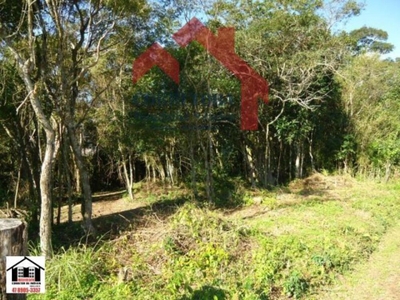 Terreno, 3 hectares - Foto 1