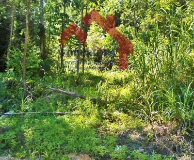 Terreno, 500 m² - Foto 2