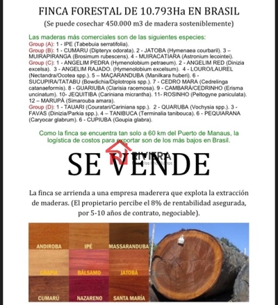 Fazenda-Sítio-Chácara - Foto 1