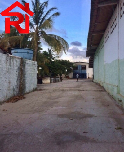 Depósito-Galpão, 1000 m² - Foto 3