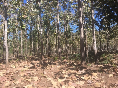 Fazenda-Sítio-Chácara, 5 quartos - Foto 4