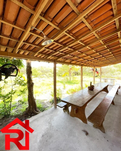 Sítio, 2000 m² - Foto 3