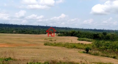 Fazenda-Sítio-Chácara - Foto 4