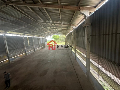 Depósito-Galpão, 1800 m² - Foto 4