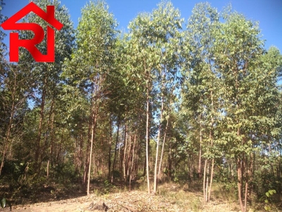 Fazenda-Sítio-Chácara - Foto 2