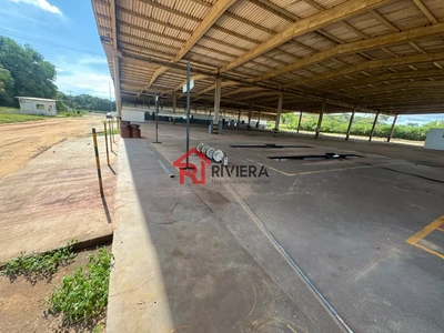 Depósito-Galpão, 20000 m² - Foto 3