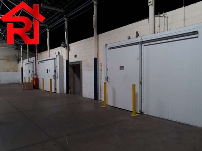 Depósito-Galpão, 13000 m² - Foto 3