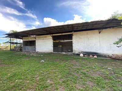 Fazenda-Sítio-Chácara - Foto 4