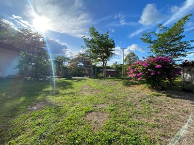 Fazenda-Sítio-Chácara - Foto 3