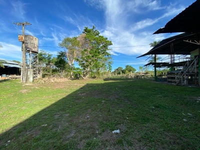 Fazenda-Sítio-Chácara - Foto 5