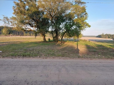 Chácara, 4000 m² - Foto 3