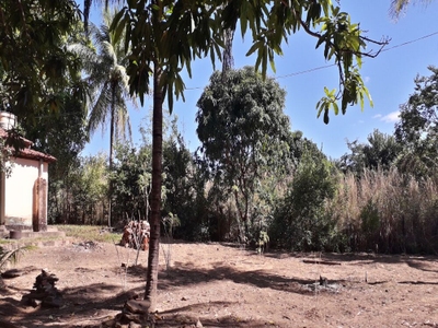 Chácara, 3 quartos - Foto 2