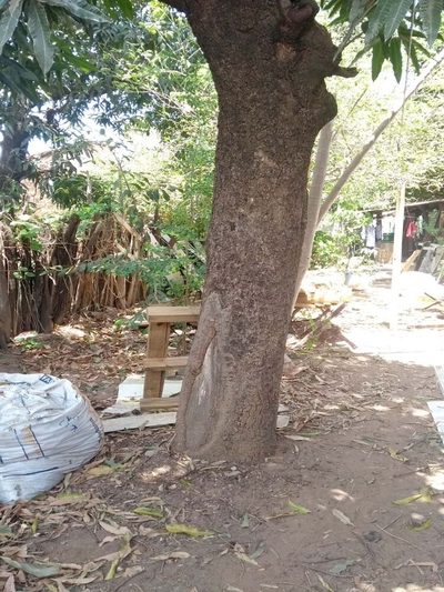 Loja-Salão - Foto 3