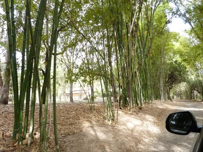 Chácara, 4 quartos - Foto 4