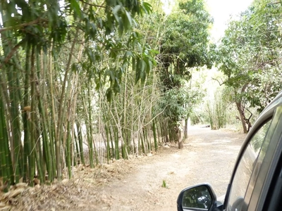 Chácara, 4 quartos - Foto 5