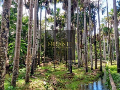 Fazenda-Sítio-Chácara, 3 hectares - Foto 3