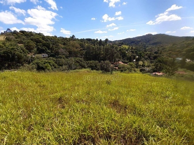 Terreno, 6 hectares - Foto 3