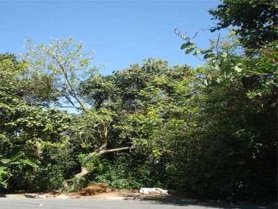 Loteamento e Condomínio, 2021 m² - Foto 2