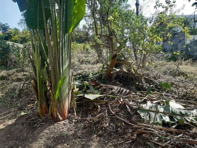 Loteamento e Condomínio, 600 m² - Foto 3