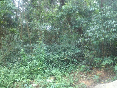 Loteamento e Condomínio, 1681 m² - Foto 2