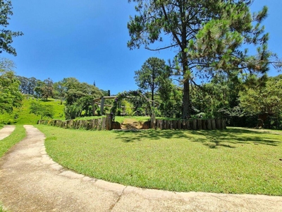 Terreno, 10 hectares - Foto 3