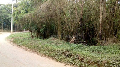 Terreno, 8000 m² - Foto 5