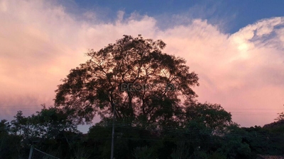 Loteamento e Condomínio, 3203 m² - Foto 4