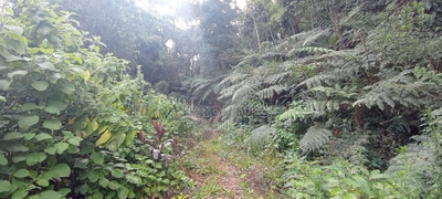 Loteamento e Condomínio, 872 m² - Foto 3