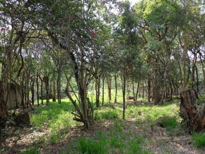 Terreno, 3142 m² - Foto 4