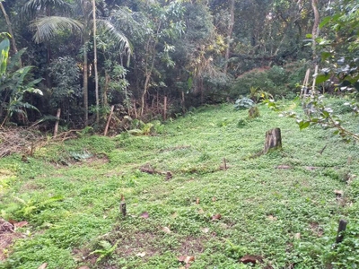 Loteamento e Condomínio, 4500 m² - Foto 2