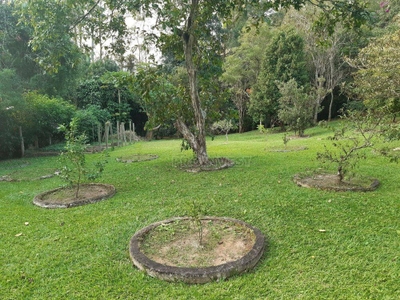 Casa, 3 quartos, 323 m² - Foto 3