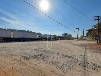 Depósito-Galpão, 2000 m² - Foto 2