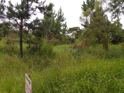 Terreno, 4455 m² - Foto 1