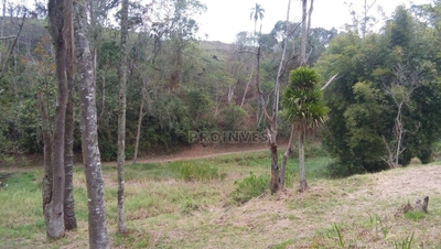 Terreno, 2 hectares - Foto 1