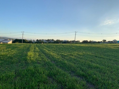 Terreno, 1000 m² - Foto 2