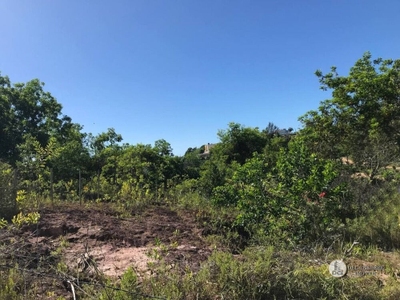 Terreno, 360 m² - Foto 3