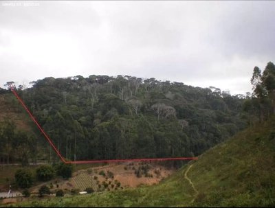 Terreno, 8 hectares - Foto 1