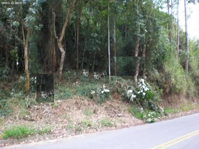 Terreno, 8 hectares - Foto 3